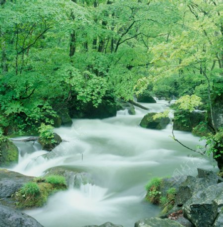 河流绿树岩石自然景色图片