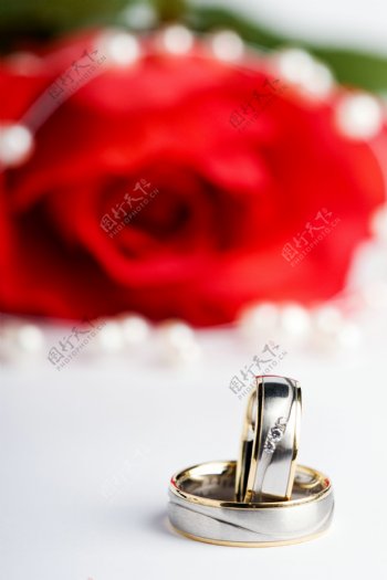 结婚对戒与红色鲜花图片