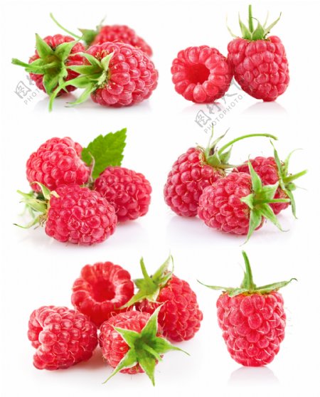 红色树莓素材图片