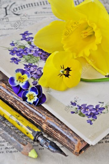 铅笔钢笔与花朵图片