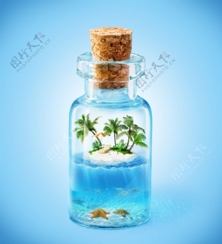 玻璃瓶里的椰子树和海星图片