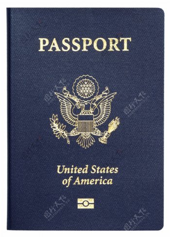 护照证件图片