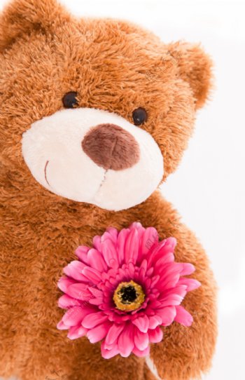 泰迪熊与花朵图片