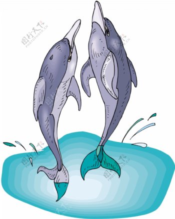 海豚水生动物矢量素材EPS格式0052