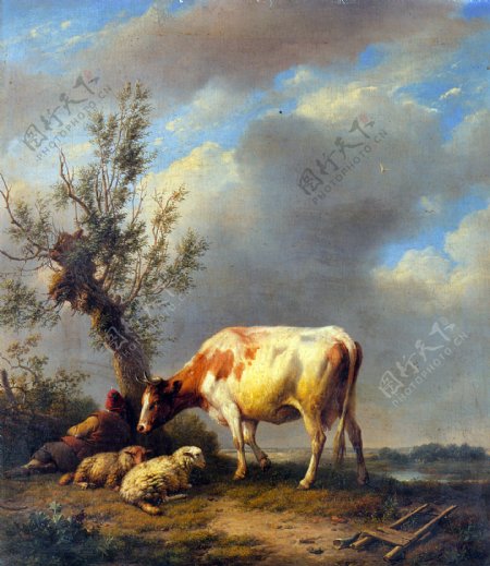 奶牛与羊油画写生图片
