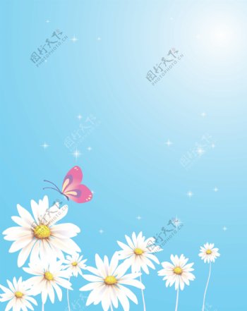蝴蝶与菊花移门图案图片