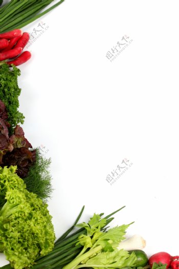 蔬菜装饰的边角图片