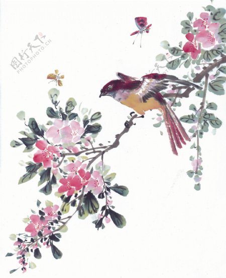 鲜花与小鸟插画背景图片