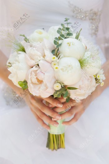 双手捧着花朵的新娘图片