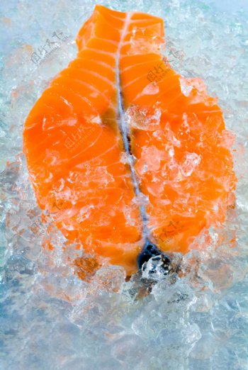冰块三文鱼图片
