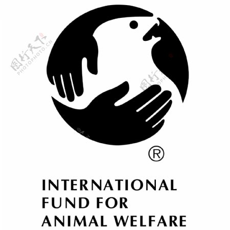 国际爱护动物基金会