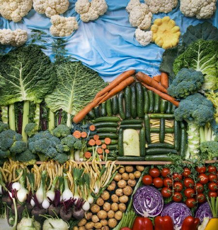 创意蔬菜拼贴画图片