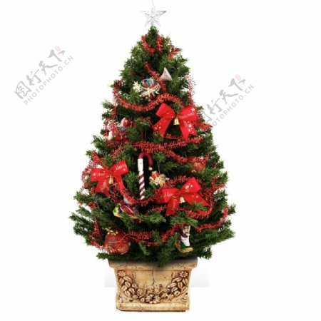 唯美圣诞树高清节日素材