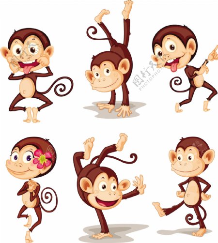 滑稽的猴子系列Illustraiton