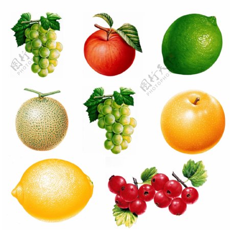 水果素材梨苹果橘子山楂葡萄
