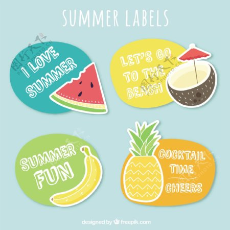 漂亮的夏天水果标签图标