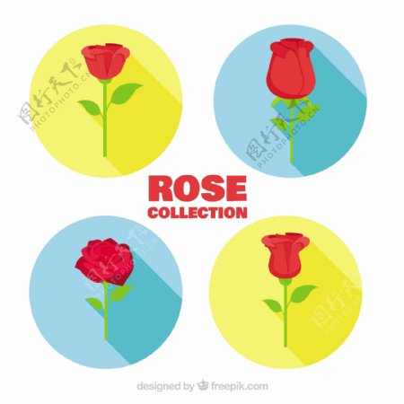 彩色扁平风格玫瑰花的圆形图标