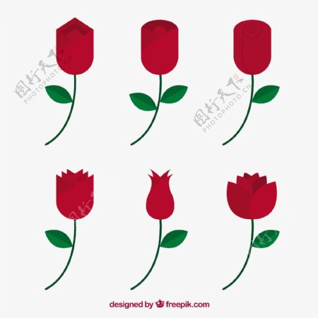 各种红玫瑰平面设计素材