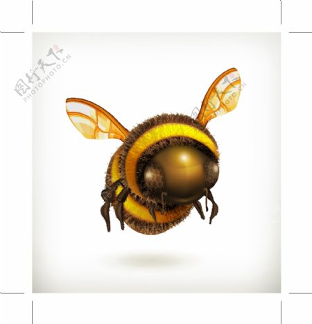 3D立体可爱蜜蜂
