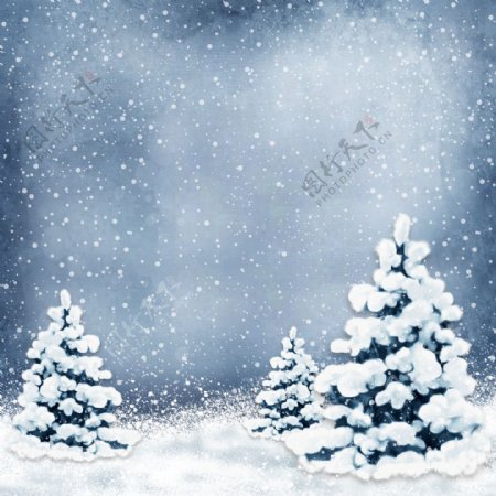 雪地上美丽的圣诞树图片