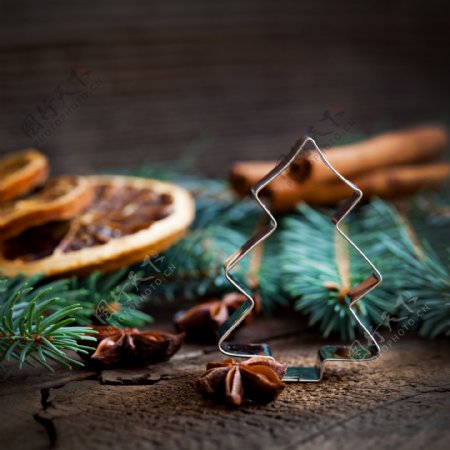 松树枝与圣诞树模型图片