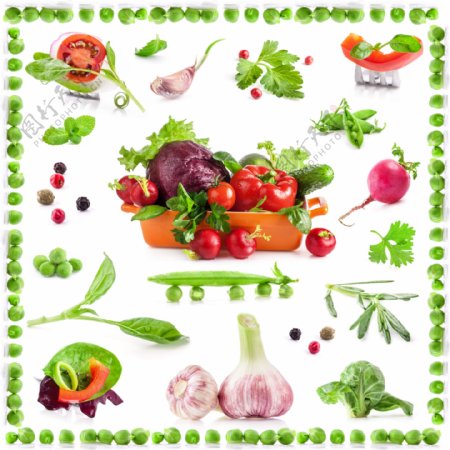 新鲜蔬菜背景边框图片