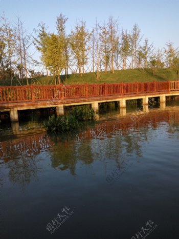 风景湿地公园长桥