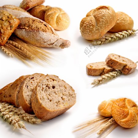 麦穗与面包图片