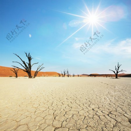 沙漠风光摄影高清图片
