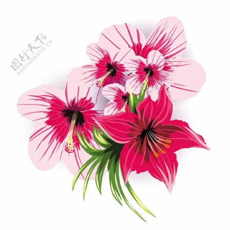 红色与粉红色热带花卉矢量素材下载