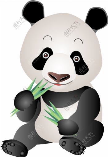 熊猫1