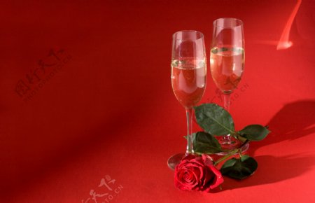酒杯与玫瑰花摄影图片