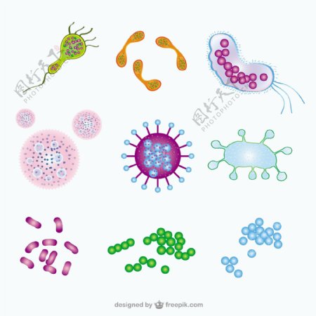 微生物的插图