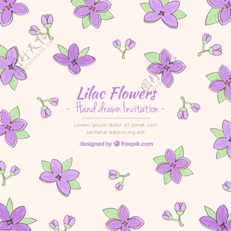 sofisticated邀请紫色花