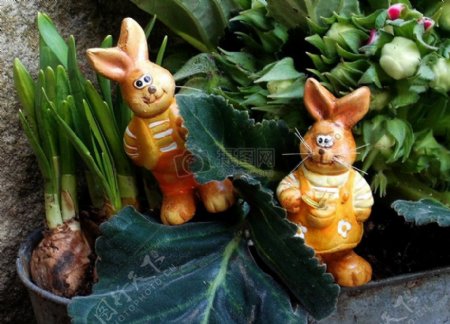盆栽植物和兔子偶