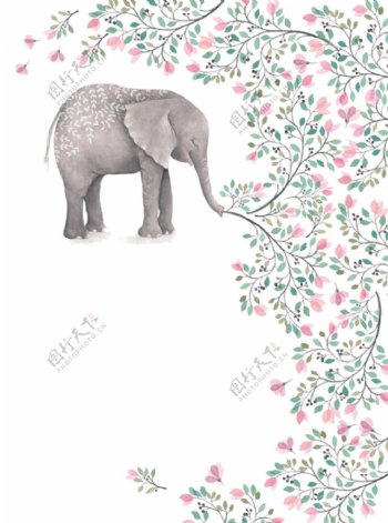 可爱的大象花纹