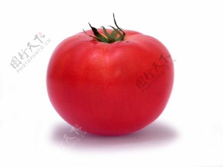 红红的番茄