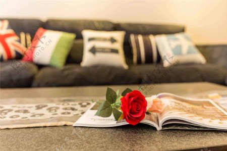 现代简约客厅茶几玫瑰花设计图