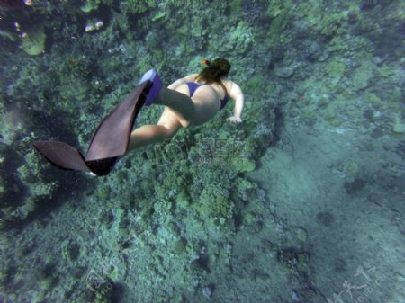 浮潜水肺潜水女子游泳跳水海洋通气管海水活动