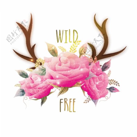 光滑的粉红色的玫瑰花鹿角或鹿角创意的波希米亚风格的插图