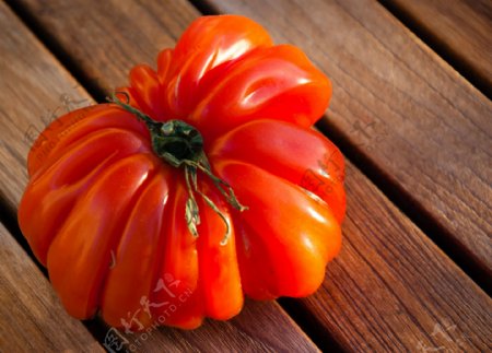 新鲜番茄摄影图片