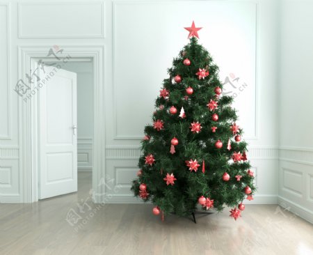 白色房间和圣诞树图片
