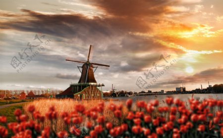 美丽的荷兰风车景色