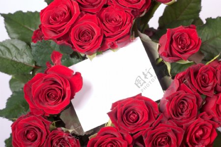 玫瑰花与礼物卡