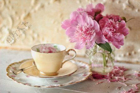唯美牡丹花与茶杯图片