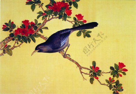 花鸟画中国古画传统国画15