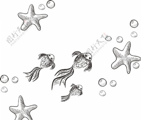 金鱼海五星素描