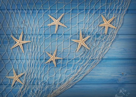 木板上的海星和渔网图片