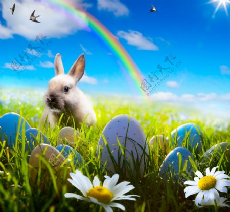 蓝天白云与兔子彩蛋图片