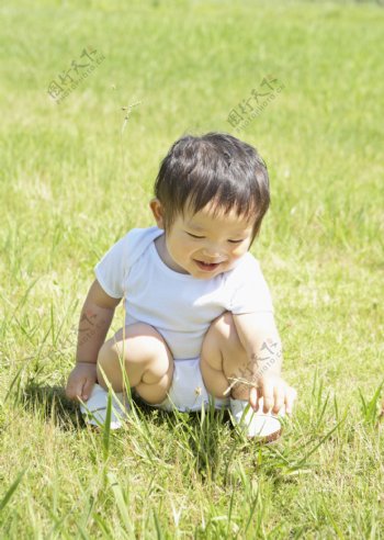 草地上玩耍的可爱宝宝图片